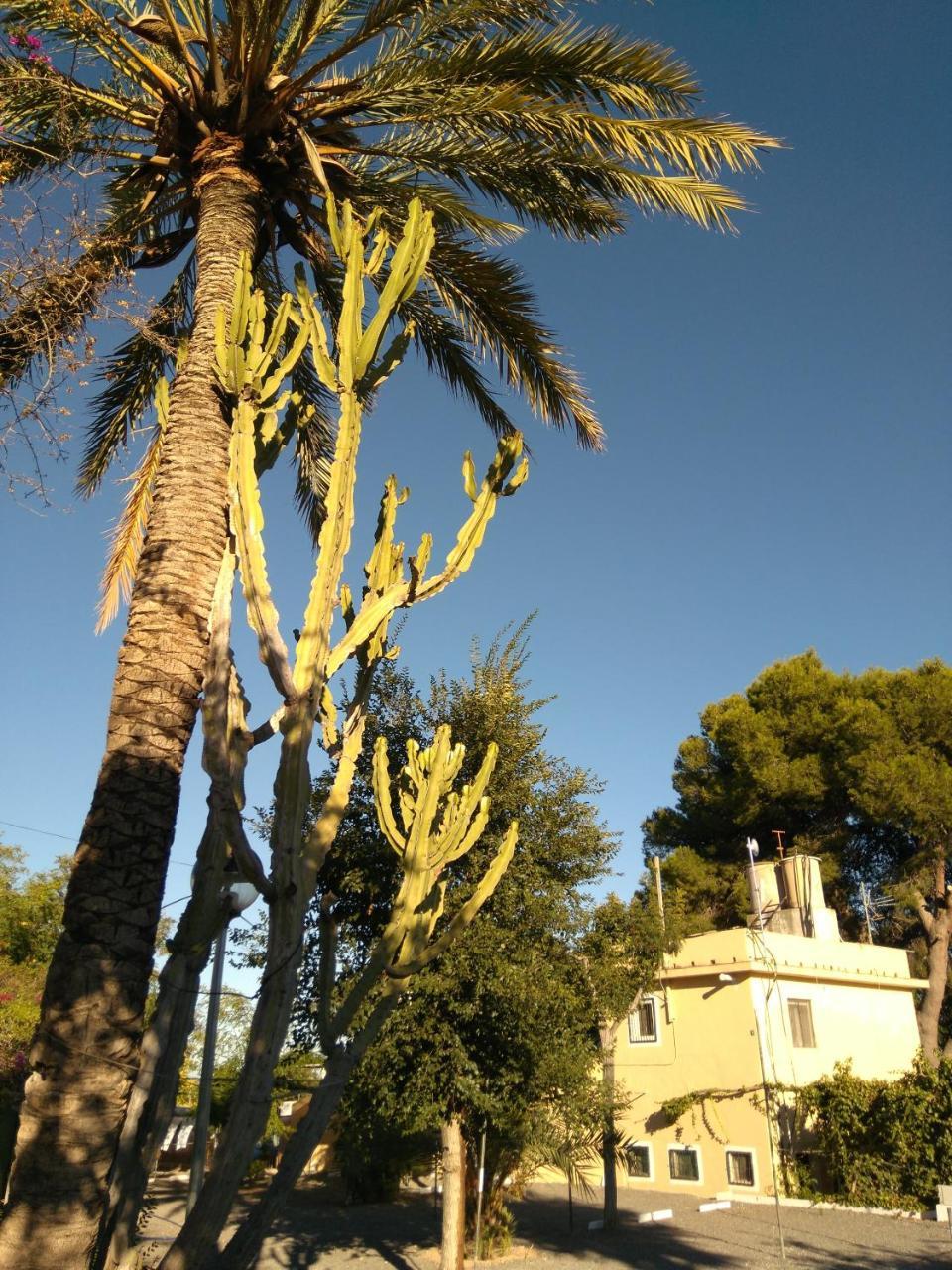 Santa Clara Altea